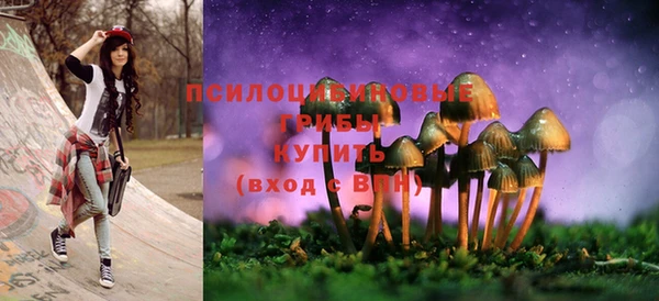 дурь Алексеевка