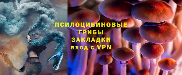 дурь Алексеевка